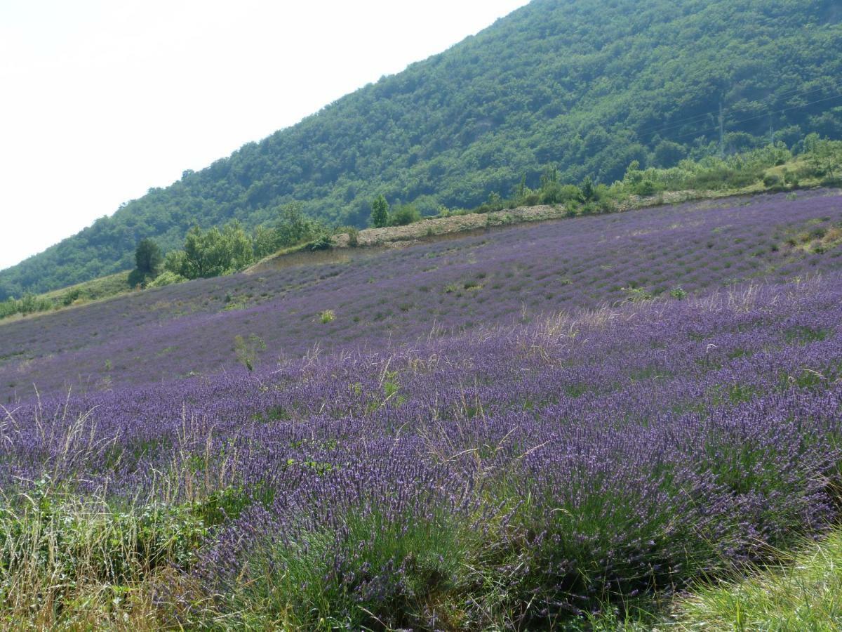 PierrelongueLa Clairiere别墅 外观 照片